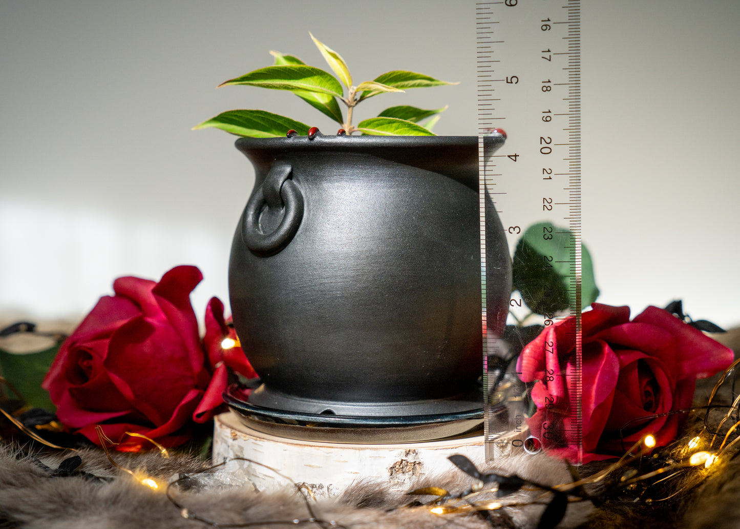 Double Witch Hand Cauldron Planter With Glittery Black Drip Dish