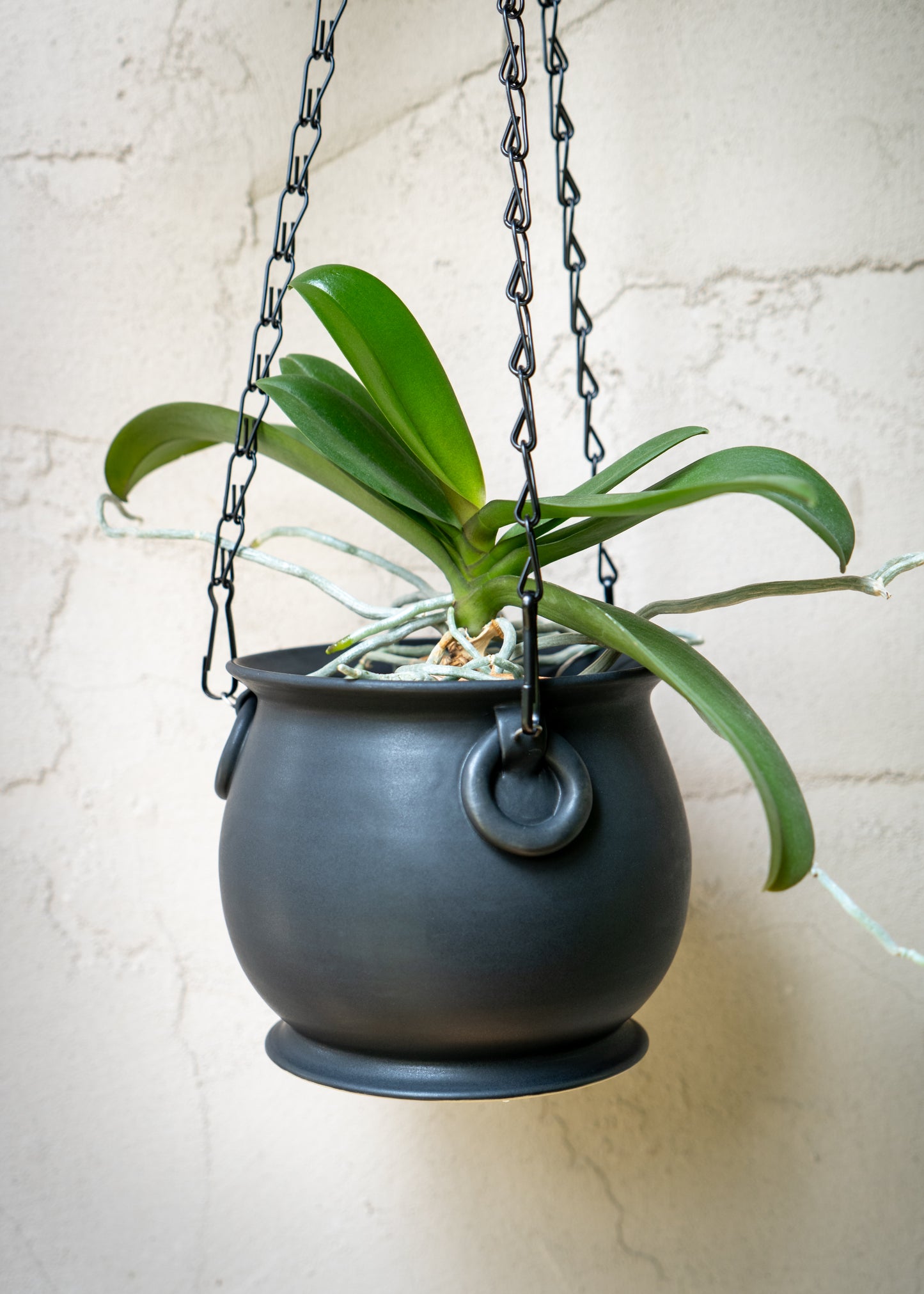 Hanging Black Cauldron Planter