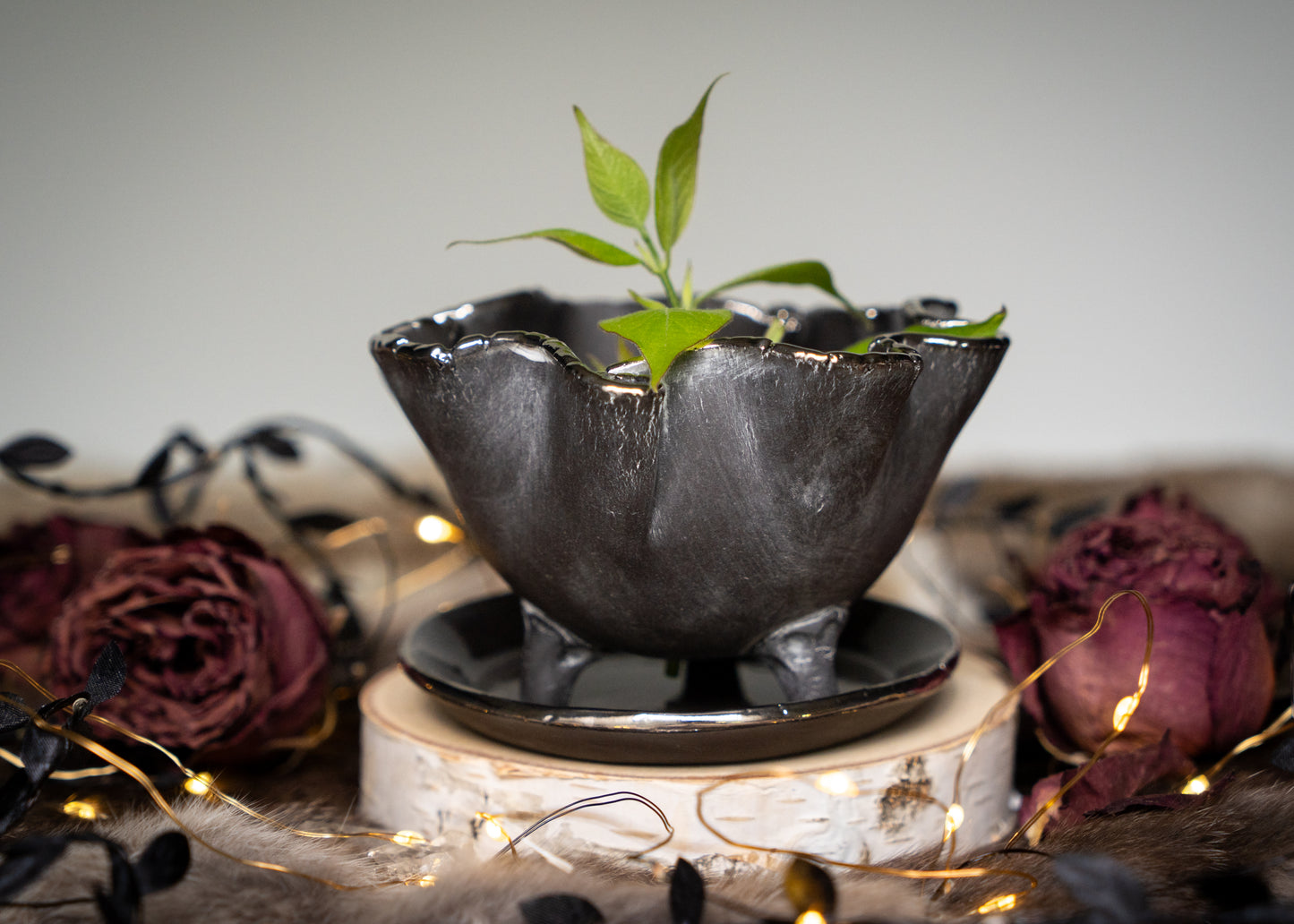 Black Crinkle Planter with Real White Gold Edges and Separate Drip Tray