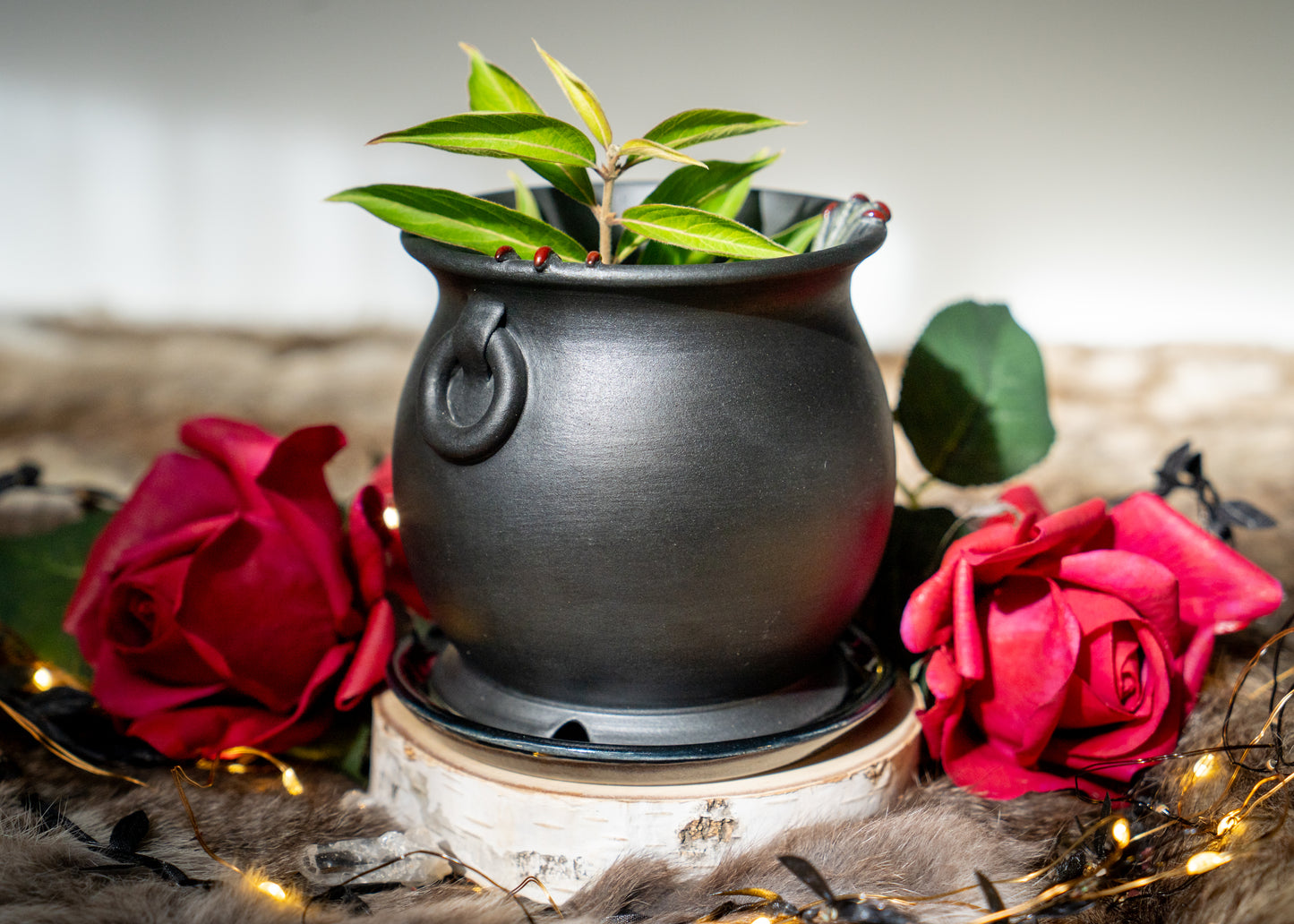 Double Witch Hand Cauldron Planter With Glittery Black Drip Dish
