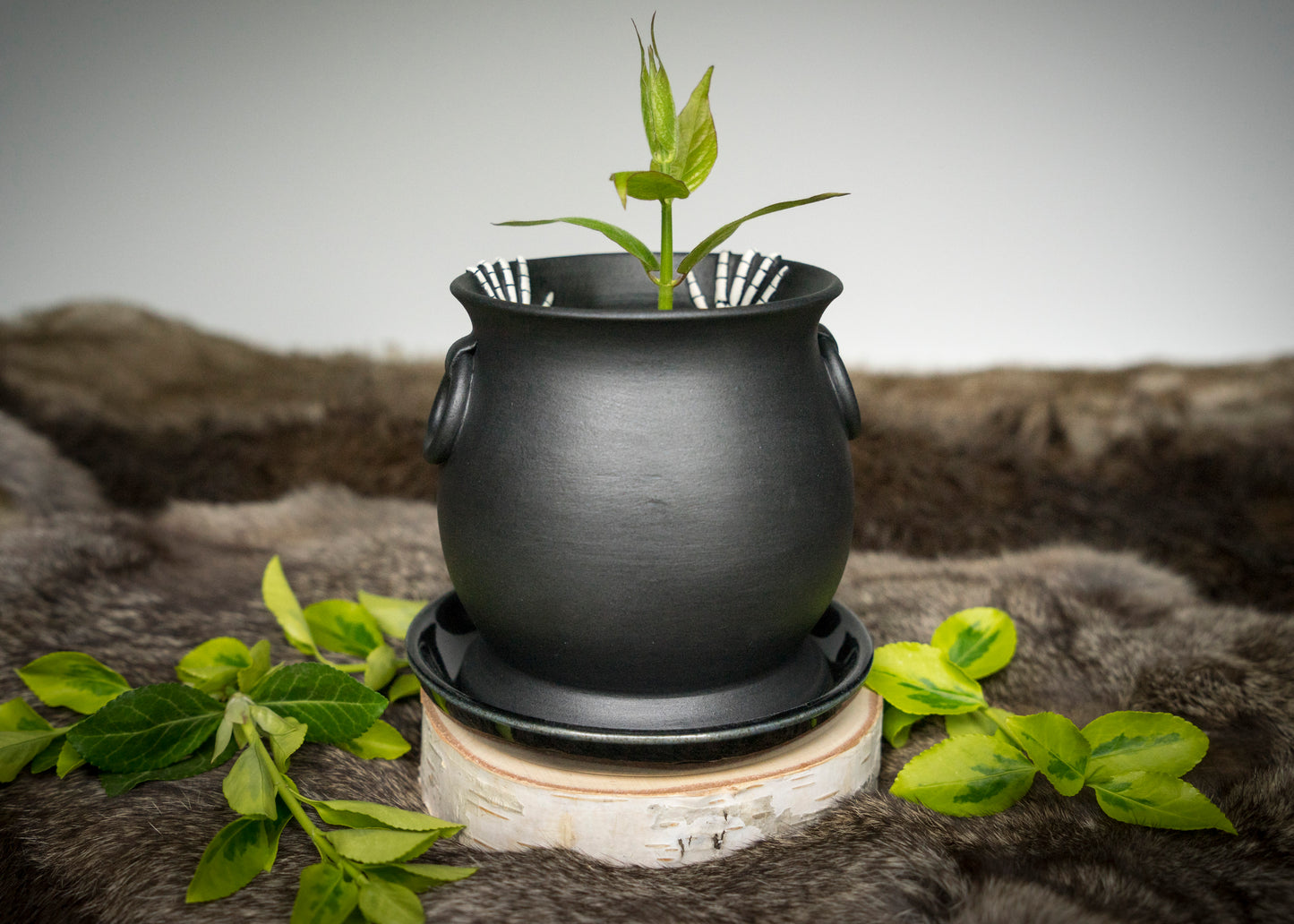 Double Skeleton Hand Cauldron Planter with Glittery Black Drip Tray